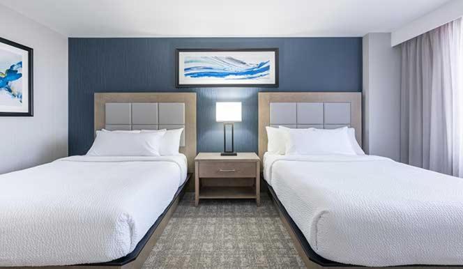 The Simon Hotel Sydney Zewnętrze zdjęcie